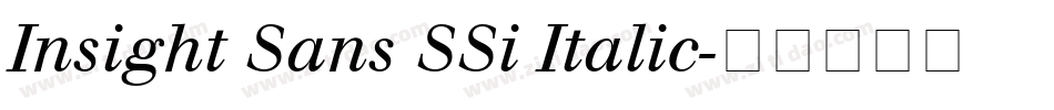 Insight Sans SSi Italic字体转换